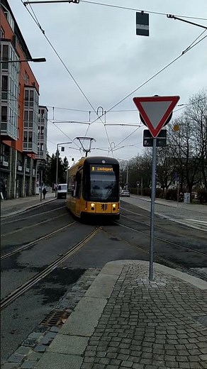 Linie 9 fährt in die Haltestelle Fetscherplatz in Dresden ein