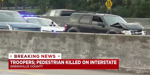 Victim identified after being hit and killed by tractor trailer, SUV while crossing I-85