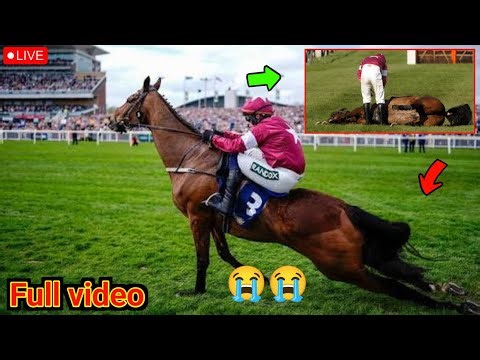 Gold Dancer Death 😢 | Wins Race Then Dies 💔 | Grand National Festival 2026 Tragedy