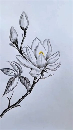 Dibujos bonitas | Dibujos Esmit