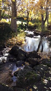 Columbia Gorge Hotel, Oregon..A peaceful water feature for your Monday Morning Water Therapy! Have a great week!💕 | Bobbie Shots Photography