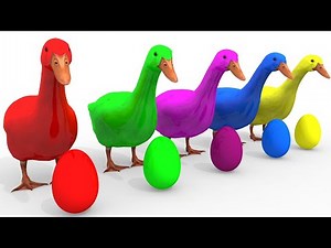 BELAJAR WARNA DENGAN HEWAN BEBEK WARNA WARNI | HEWAN WARNA WARNI | VIDEO ANAK ANAK