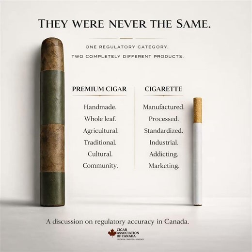 THEY WERE NEVER THE SAME.