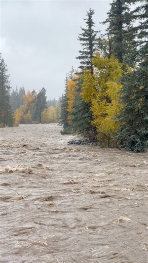 FLOODING! Vallecito Creek, Colorado | High Altitude Pagosa