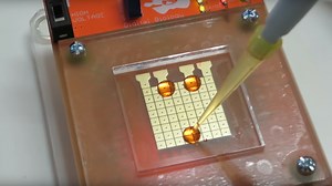 Microfluidics “Frogger” Is A Game Changer For DIY Biology