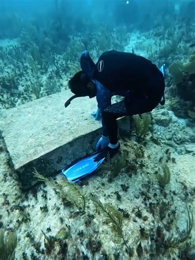 Discover Underwater Treasures While Scuba Diving