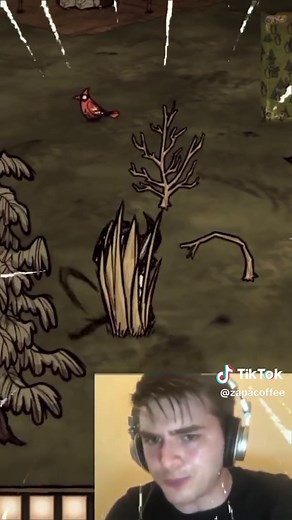 Survival Game Don't Starve Together Gameplay