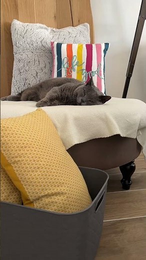 More than just storage