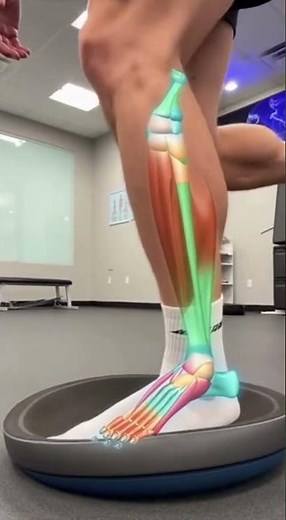 Shoulder Stability: Wall Slide with Scapular Upward Rotation