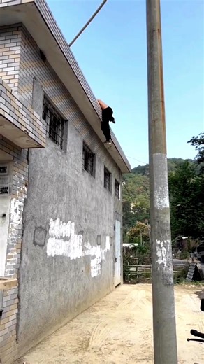 This is Perfect 👊 | Karate Techniques