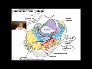 Cell Structure and Function Part 1