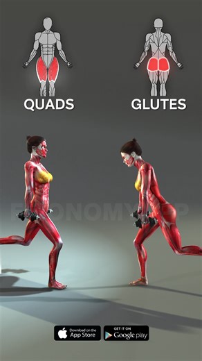 3.5M views · 34K reactions | Bulgarian lunges quadriceps version VS...