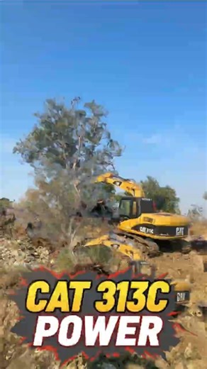 “CAT 313C Excavator Removing a Large Tree for Access Road Construction”