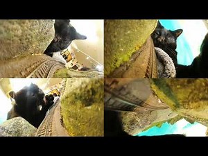 Do you still want to ride this train? Here's a nostalgic video