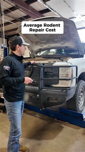 Rodent Damage Costing $20,000 on a Diesel Truck