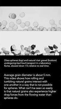 How particle shape controls grain flow