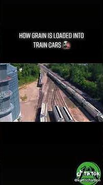 How Grain Is Loaded Into Train Cars🚂