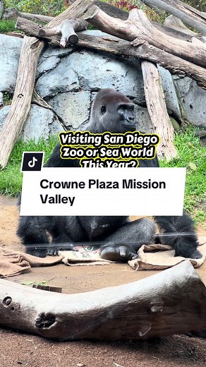 Affordable Family-Friendly Hotel Near San Diego Attractions