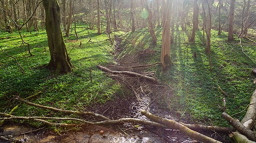 Natural flood management