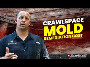 Crawlspace Mold Remediation Cost | How Much Does Mold Remediation Cost?