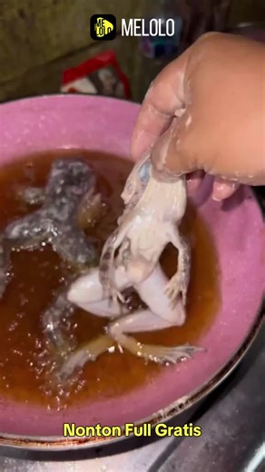 Streaming drama top tanpa biaya di Melolo! | Free Drama-Melolo