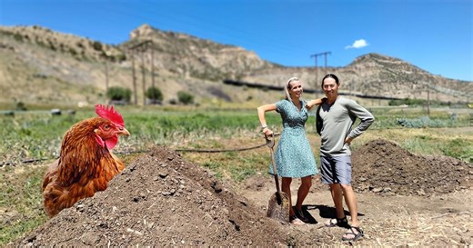 Modern Gardener:Composting with Chickens and Beer Season 1 Episode 113