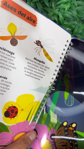 Libro Lámpara Insectos #libelulamx #lalibelulamx #materialludico #materialdidactico #lamparamagica #libroinsectos #librobichitos | LibelulaMx