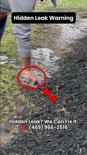 This Wet Spot Was a Bigger Problem!