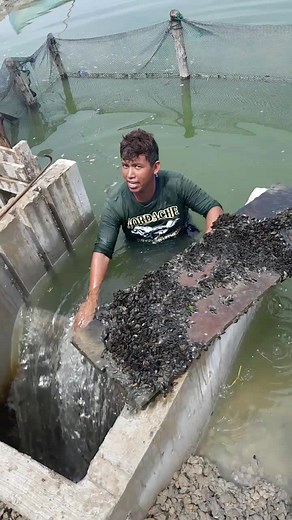 Mussel Farming Techniques: A Hands-On Guide