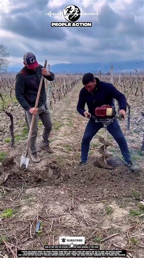 Two Workers Coordinate Digging Motion To Form Clean Planting Holes In Line