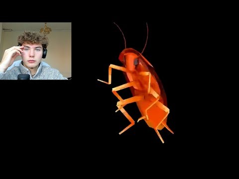 Watching a Dancing Cockroach for 1 Hour