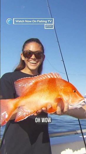 The most beautiful fish in Australia - ‘iFish’ on Fishing TV