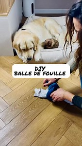 DIY balle de fouille . . . #dog #instadog #doglover #dogsofinstagram #diy #diydog #diydogtreats #dogtreats #cutedog #funnydog #dogtips #dogmumlife #fluffydog #goldenretriever #goldenretrieversofinstagram #goldenretrieverworld #retriever #retrievergram #chien #chiendrole #chienmarrant #chienmignon #bandabalou | Bandabalou