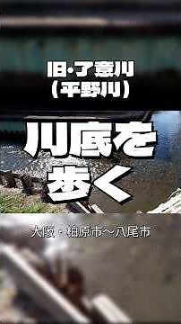 ●旧了意川（平野川）・川底を歩く（大阪・八尾市志紀町南）