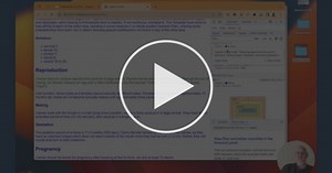 Introduction to Web Development
