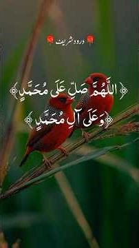 #daroodsharif #duet #viralvideo #shorts#trending#tilawat #unfrezzmyaccount #growmyaccount #tiktok