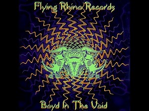 Boyd In The Void [Full Compilation] Flying Rhino Records (1995) [Goa Trance, Acid Trance]