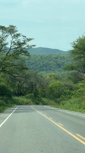 Scenic Drive Through Uganda's Lush Landscape