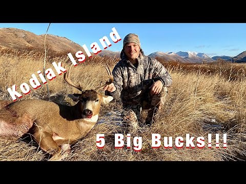 S20Ep1: Self Guided Blacktail Hunt on Kodiak Island! 5 Bucks!!!