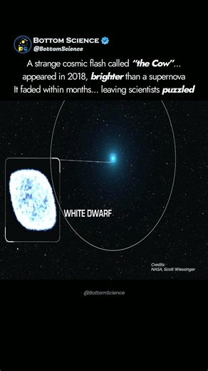 A "Cow" Appeared in Space? 🐄 #Shorts #Space