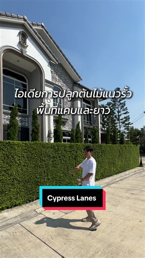 ไอเดียปลูกต้นไม้แนวรั้วพื้นที่แคบ
