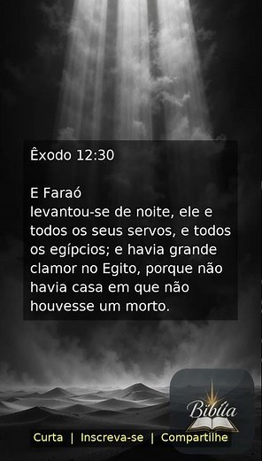 Êxodo 12:30 | Versículo Bíblico para Reflexão 🙏
