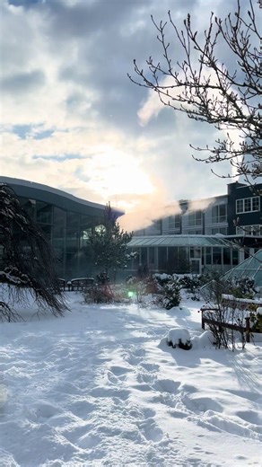 Winter Vibes at Hotel Deimann in Schmallenberg
