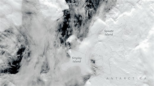Out for a spin! Iceberg A-84 was initially trapped near the Antarctic continent by sea ice, but as the Antarctic summer melted seasonal sea ice, it began its journey out and away. These images of the iceberg were captured by NASA - National Aeronautics and Space Administration's Aqua and Terra, as well as the joint NASA/NOAA Suomi NPP, satellites. The berg is about the size of Chicago. Although icebergs calving away from ice shelves is a normal process in Earth's icy regions, it's happening more