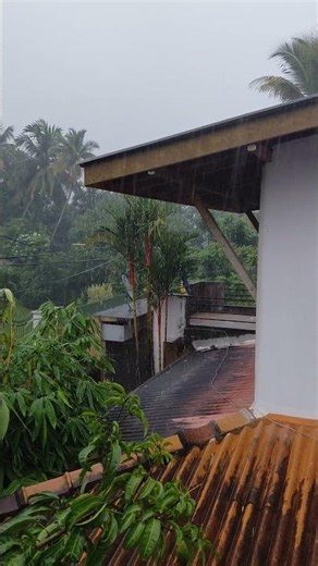 Peaceful Rain Moments #Shorts