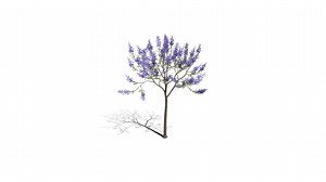 Realistic HD Blue jacaranda (1/40) - Download Free 3D model by PlantCatalog