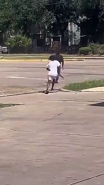 Soy el mero mero maromero