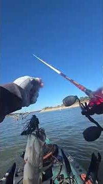 A Catchy Compilation🧜‍♂️🇺🇸😎🎣🎣#fishing#kayakfishing#bassfishing#largemouthbass#epic#fish#compilation