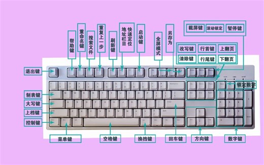 计算机电脑基础入门教程，文员办公表格零基础学习教程