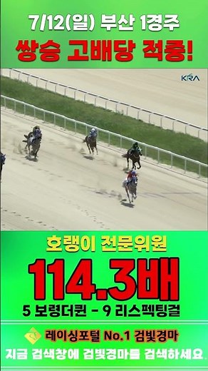 [부산 경마] 7월 12일 일요 1경주 호랭이 전문위원 쌍승 고배당 적중 #경마 #horse #한국마사회 #automobile #하이라이트 #riding #뉴스 #게임 #race
